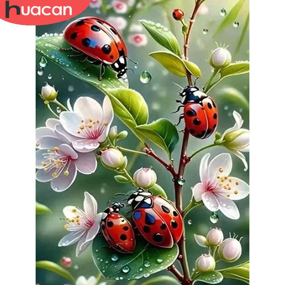 HUACAN 5d Diamond Painting Lad - огляд і ціна Embroidery Lady Bug